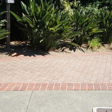 Landscape Design & Installation