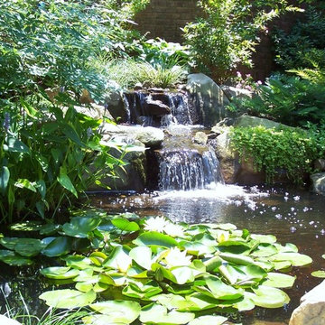 Water Gardens