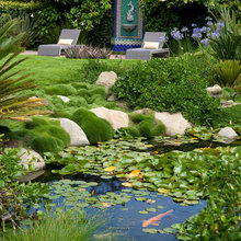 Koi Pond Design