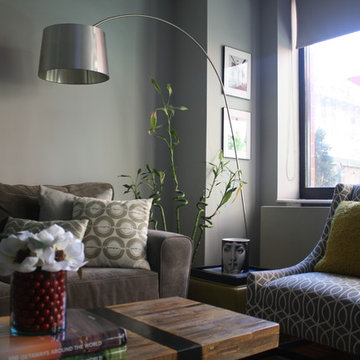 Contemporary NYC Living Room