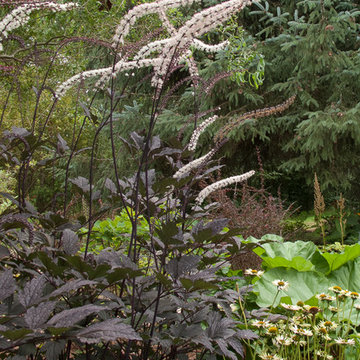 Fall Fragrance