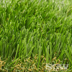 Everglade Spring - Products