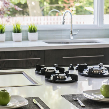 Contemporary Zen in Mamaroneck