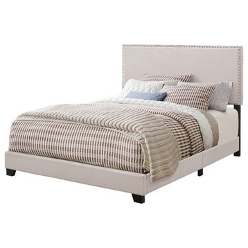 Coaster Boyd Fabric Upholstered Queen Bed with Nailhead Trim in Ivory