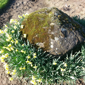 Master Gardener Landscape Makeover Rain Garden