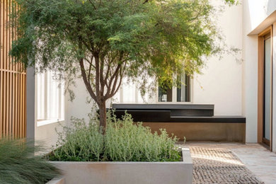 Inspiration for a courtyard landscaping.