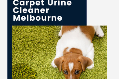 Carpet Urine Cleaner Melbourne