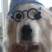 Caroline Pichette's photo