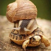 Oliver Tucker's photo