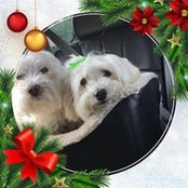 Vickie Ipsen's photo
