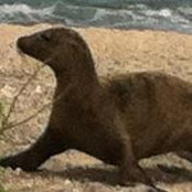 Heather Allardice's photo