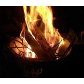 Donna Hunt-Shafer's photo