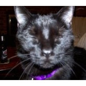 Curtis Cain's photo