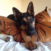 Dianna Jackson's photo