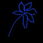 Carol Wood's photo
