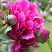 Joan Knight's photo