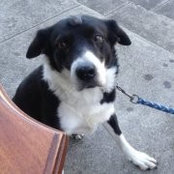 Brett Mahon's photo