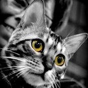 Foto von Tracey Fordham