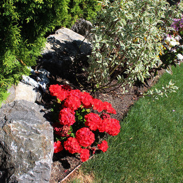 Olympic Rockeries