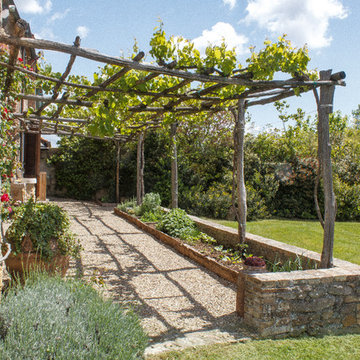 Pergola di uva per la zona pranzo