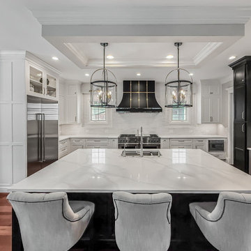 Modern Transitional Kitchen Remodel | Naperville, IL