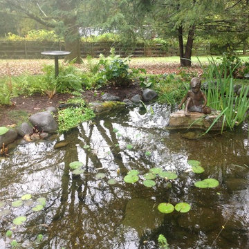 Ecosystem Ponds