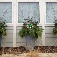 Outdoor Ideas