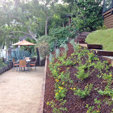 Unique Hillside Landscaping Design--Update