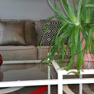 Downtown Condo Apartment