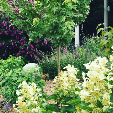 Macleod Perennial Garden