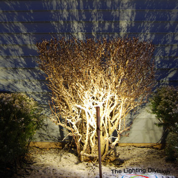Tara Copper Landscape LED Fixture