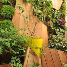 - Wohnen im Garten