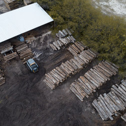 Salvaging Texas Post Oak trees for hardwood floors - Products