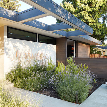 Los Altos New Residence