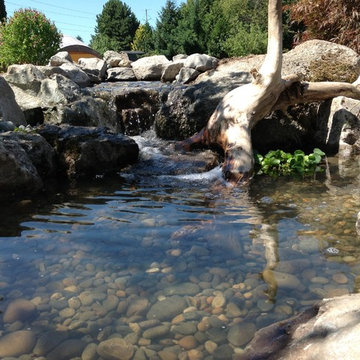 Ecosystem Ponds