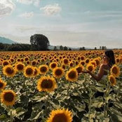 Ingrid Álvarez's photo