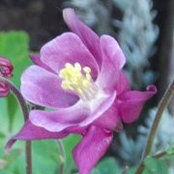 Tina Maclean-Phillips's photo