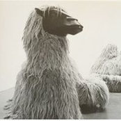 Sam leachさんの写真