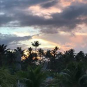 Foto von Amy Biondo Edwards