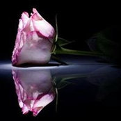 Leng Tungupon's photo