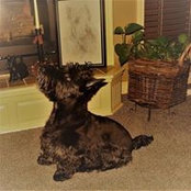Diane Hittner's photo