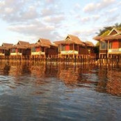 Joel Tan's photo