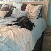 Ursula Tierney's photo