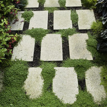 mint would be nice. smells good when walked on.