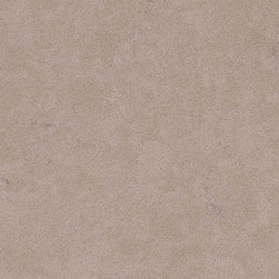Boletus - Q Premium Natural Quartz - Kitchen Countertops