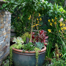 Container garden