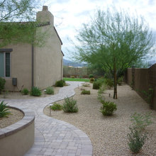 palm valley backyard