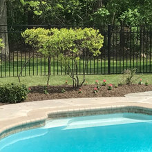 Pool Fence