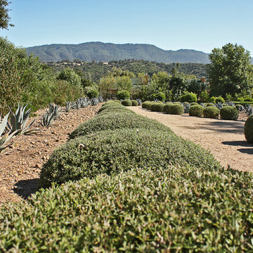 Family Compound