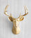 Wall Charmers Mounted Resin Deer Head, Gold, Metallic